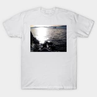 Avacha Bay, Kamchatka, Russia T-Shirt